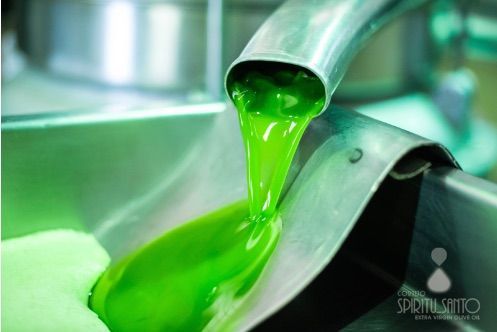 El aceite de oliva ecológico Cortijo Spíritu Santo se alza con el máximo premio de Ecotrama 2019