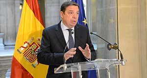 Planas solicitará a Bruselas que avance en el proceso de los aranceles de EEUU a la aceituna de mesa