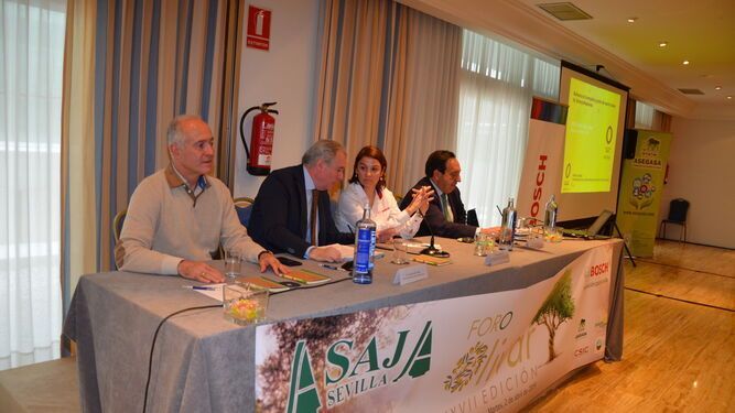 Los productores de aceite de oliva dan un ultimátum al Ministerio