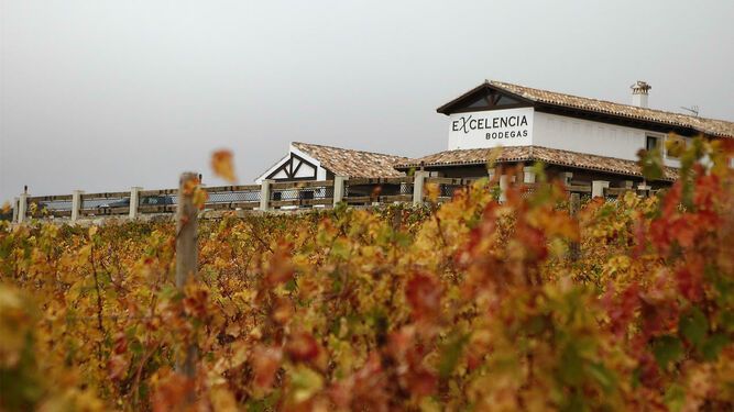 Bodegas Excelencia de Ronda gana la medalla de oro en los International Awards Virtus con su vino Tagus