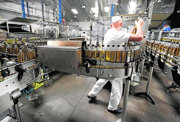 La producción de aceite de las almazaras murcianas se desploma a la mitad