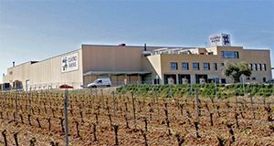 Agrícola Castellana pasa a denominarse Bodega Cuatro Rayas