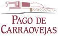 Las bodegas ourensanas Emilio Rojo y Viña Mein cambian de dueño