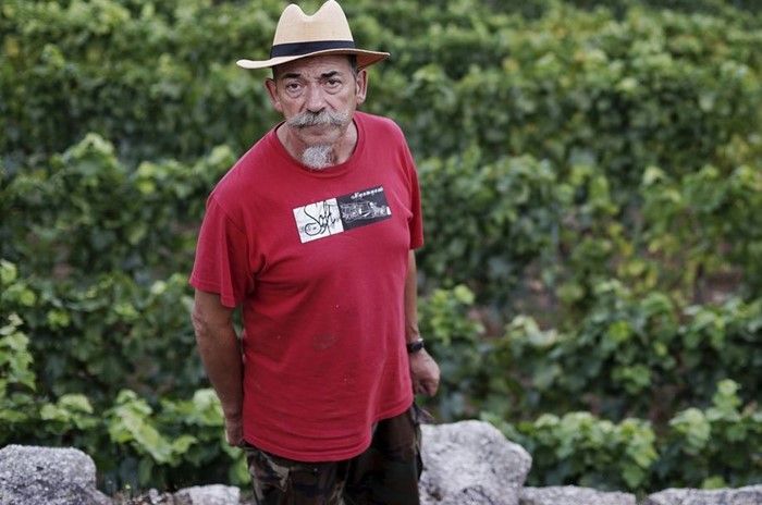 Emilio Rojo recibe el premio ‘Vida entre vides’ 2019 de la Denominación de Origen Ribeiro