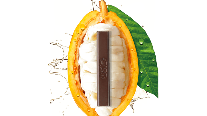 Nestlé lanza el primer chocolate elaborado solo con el fruto del cacao