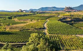 Rioja aprueba sus nuevas normas de vendimia para esta campaña
