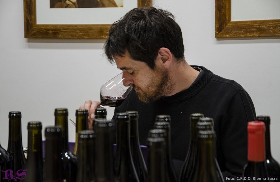 Ribeira Sacra sitúa 66 de sus vinos entre los más valorados por la Guía Peñín