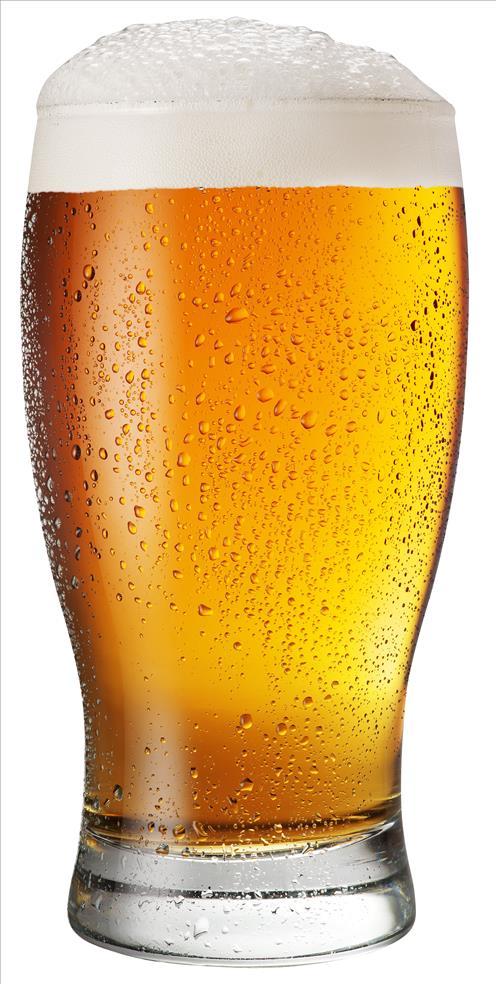 Cáceres, un río de litros de cerveza