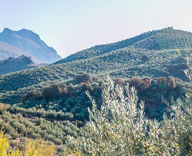 La mejor almazara del mundo es española