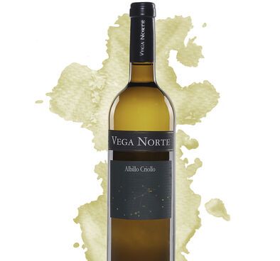 El vino Vega Norte recibe una Medalla de Oro en Corea