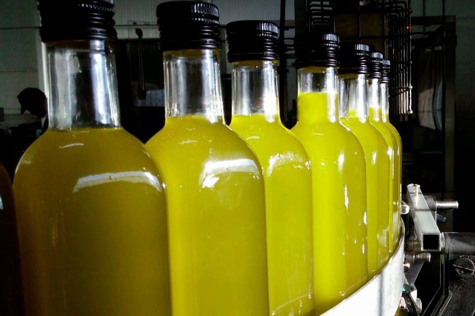 Córdoba produjo la pasada campaña el 12% del total mundial de aceite