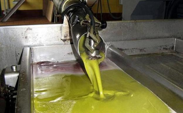 El aceite de oliva busca soluciones