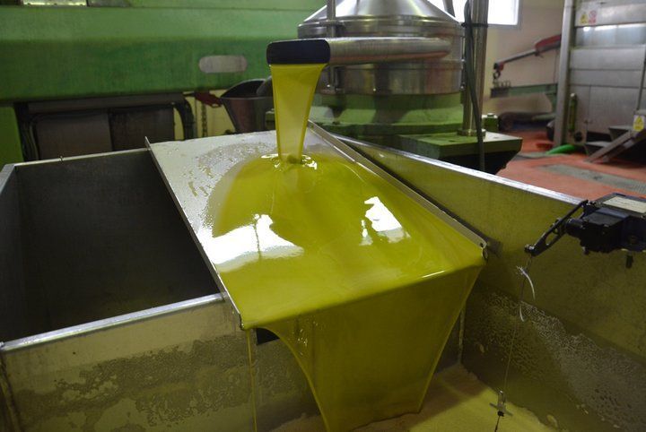 La Comisión Europea perfila la autorregulación del aceite de oliva