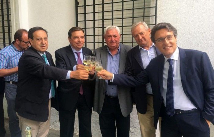 Planas accede a regular la retirada de stocks de vino de la campaña anterior y evitar las mezclas