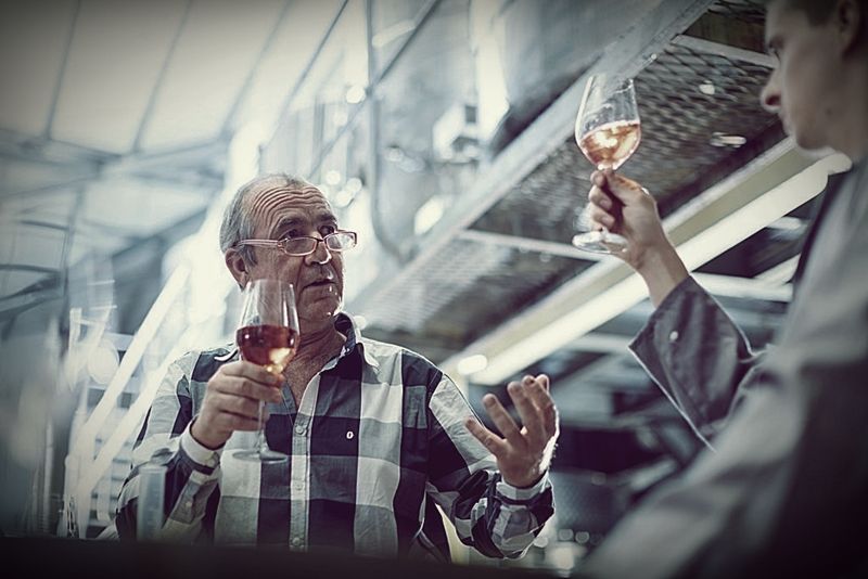 Las bodegas más grandes y antiguas se adaptan mejor a los cambios, según un nuevo estudio