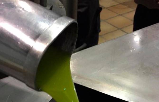 Interóleo cree que una adecuada gestión del aceite permitirá cubrir la demanda y aumentar precio