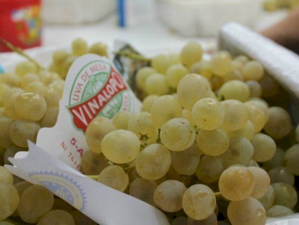 El sector del vino y el cava valenciano se manifiesta en protesta por los bajos precios de la uva