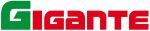 Grupo Gigante saca a subasta activos por 45 millones