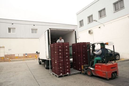 Miebach realiza un estudio sobre la sobre gestión de la cadena de suministro en el sector del gran consumo