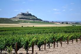 EL BOE publicó la solicitud de modificación del nuevo pliego de condiciones de Ribera del Duero