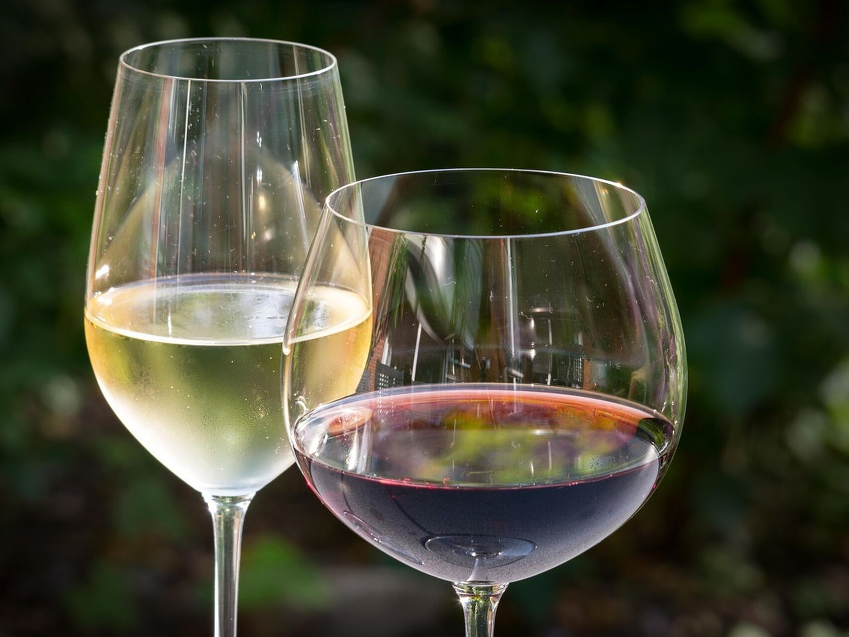 El vino español arrasa en Japón: crecen las exportaciones al país nipón en un 180%