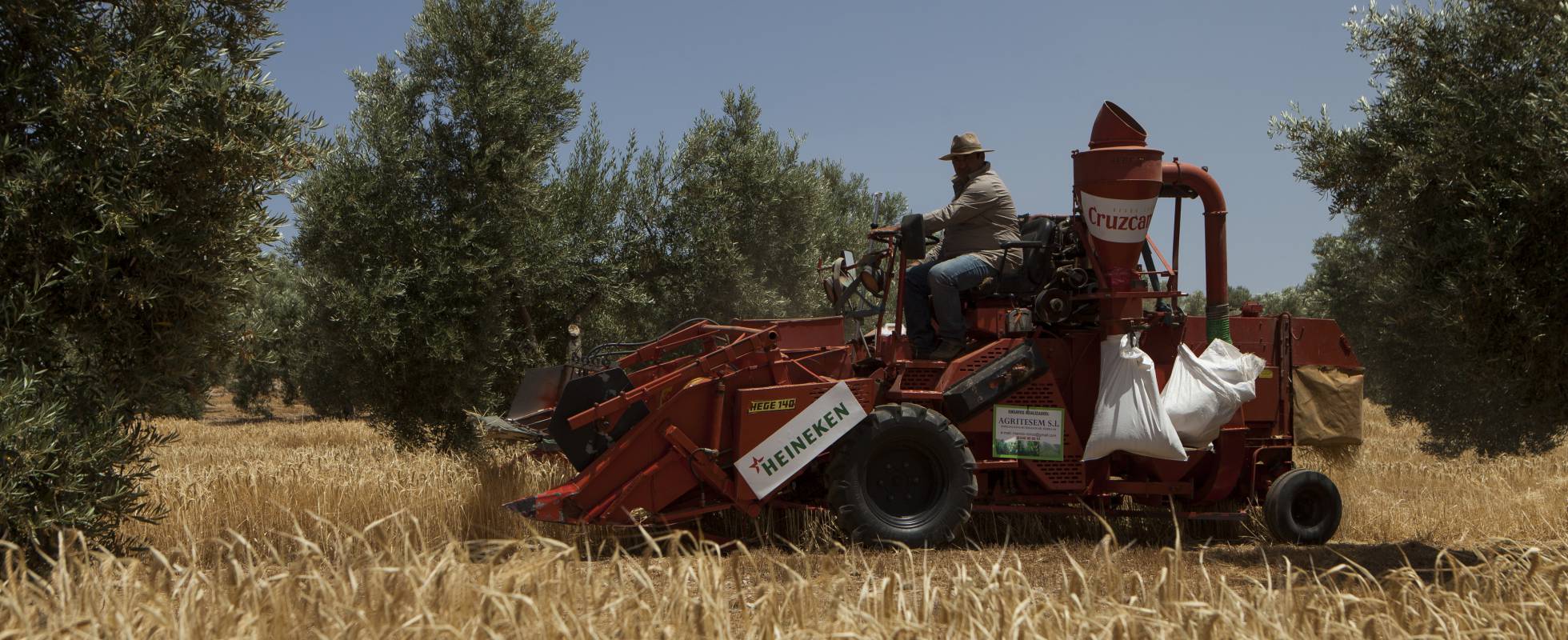 La cerveza que abastece de agua los campos