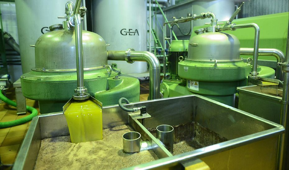 GEA prevé un descenso del 20% en la producción española de aceite de oliva
