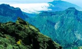 Abre el primer molino, o almazara, de aceite de oliva de La Palma