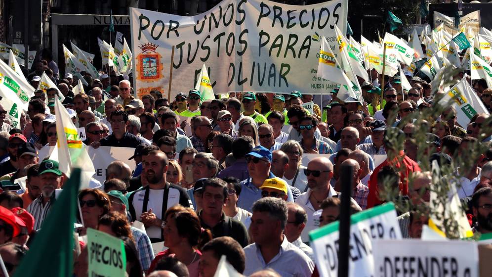 Confirmado el peor escenario: el aceite español envasado en Italia sí pagará arancel