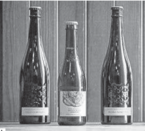 Una cerveza estiloGranada Libre