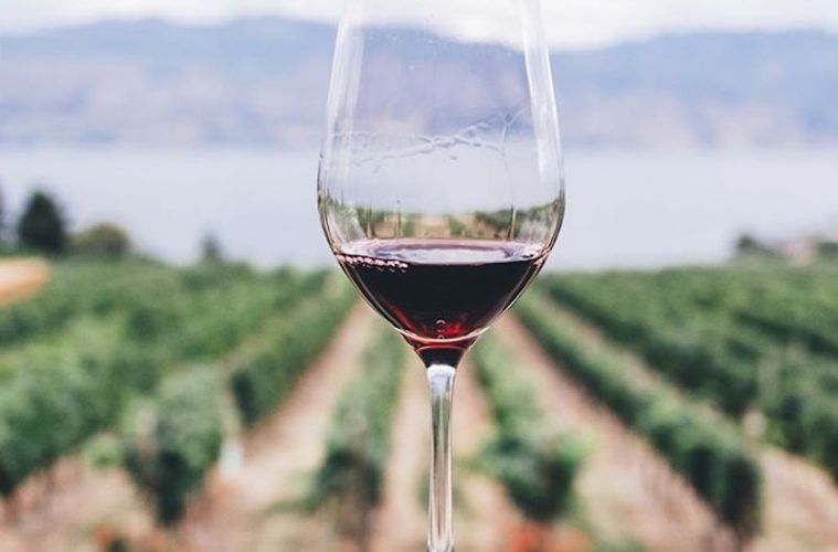 Los vinos de Madrid y Andalucía los que más aumentan su valor en exportaciones