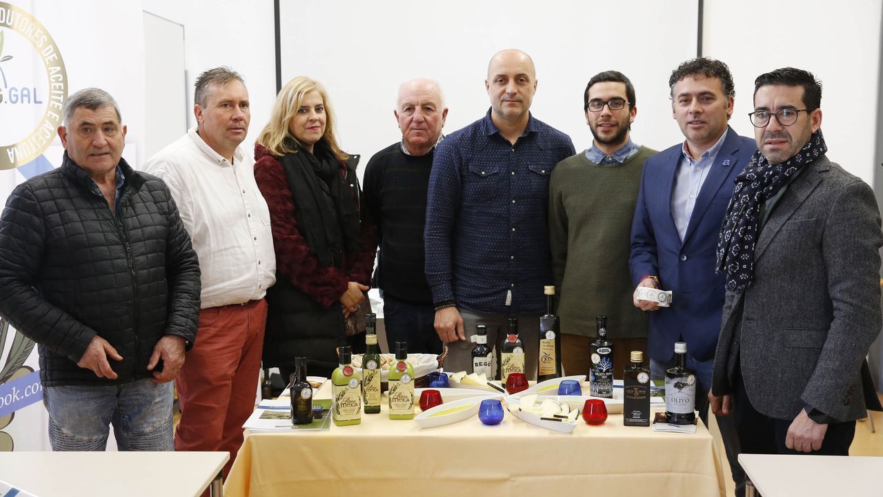 Los primeros sellos de calidad para el aceite gallego