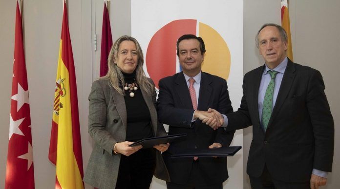 Madrid acogerá la única feria del mundo exclusiva sobre aceite de oliva