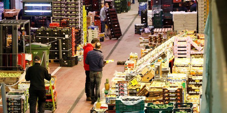 Las ventas de alimentos en la Red de Mercas crecieron en valor un 20,8% en 2019