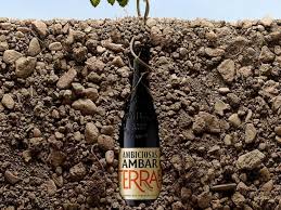 AMBAR TERRAE: LA CERVEZA NACIDA DEL LÚPULO DE UNA VIÑA