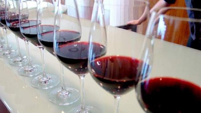 El vino español, referente en modernización e internacionalización gracias a la I+D