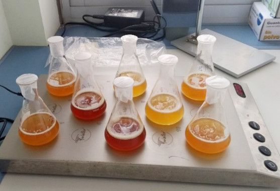 Nueva técnica para analizar los compuestos olorosos de la cerveza