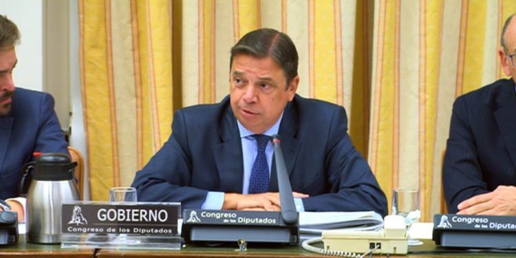 Gobierno aprueba modificar la ley de la cadena alimentaria y prohíbe la venta a pérdidas