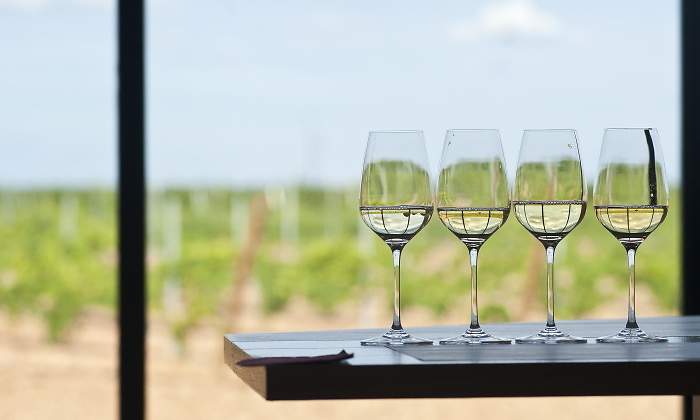 Así vive el sector del vino (producto estrella del confinamiento) la crisis del coronavirus