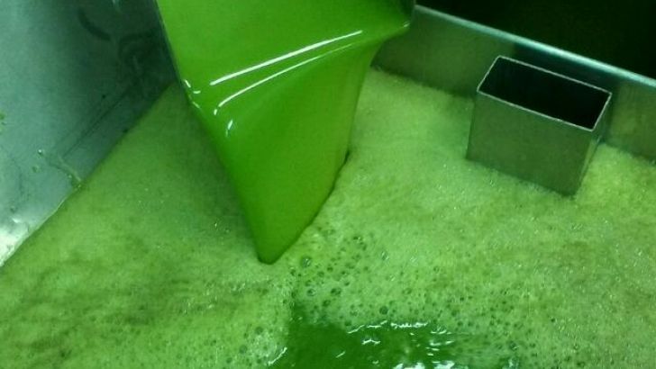 El sector del aceite de oliva pide una norma de comercialización que permita la aplicación inmediata de mecanismos de gestión de la oferta