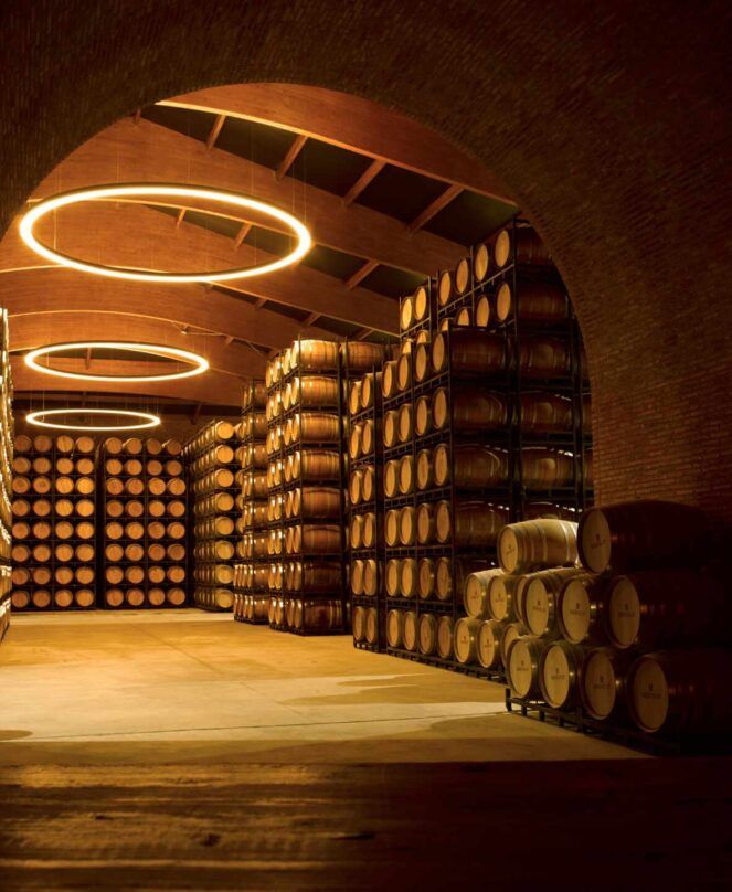 La viña sigue, el vino durante la pandemia