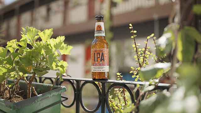 Cerveza, la invitada perfecta