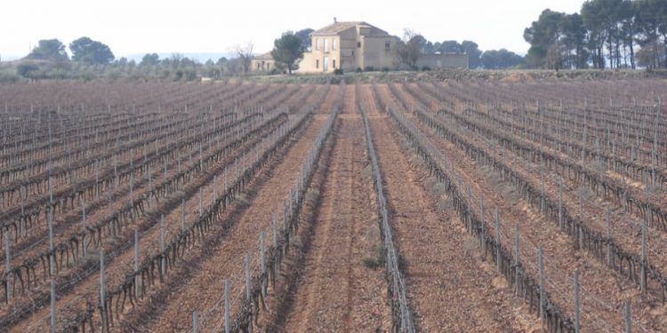 La DO Cava logra un acuerdo histórico para establecer nuevas medidas de producción