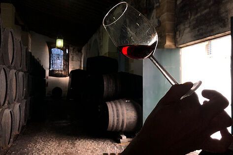 El vino inicia su desescalada tras una primavera «desastrosa»