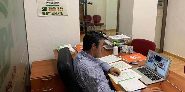 UPA pide a Planas más inspecciones de oficio a las grandes envasadoras de aceite