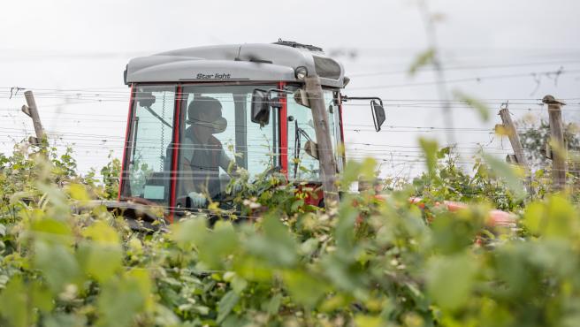 Impulsan la marca promocional «Basque Wine» para promocionar el vino local