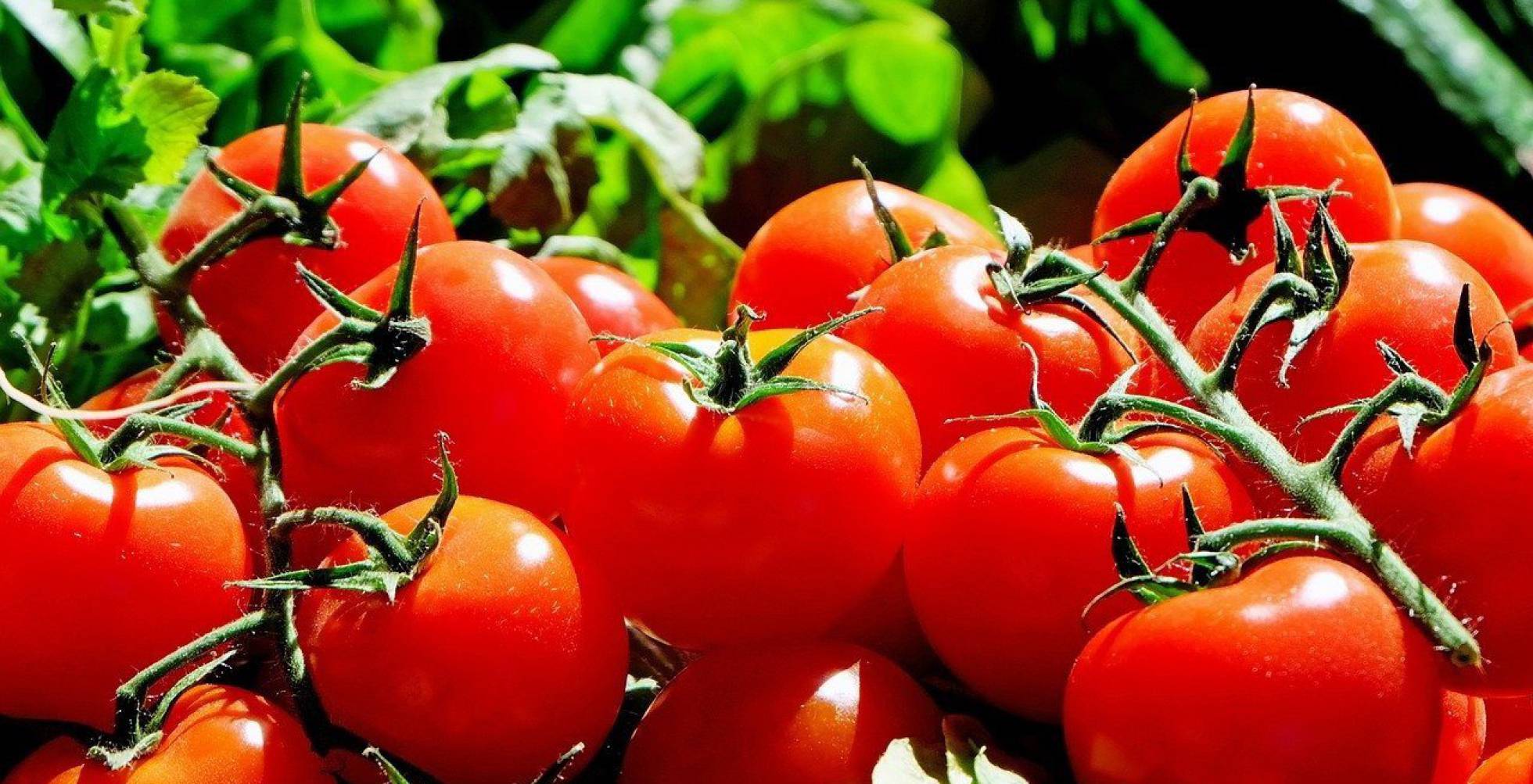 Aprovechemos para hacer una mejor Ley de la cadena alimentaria