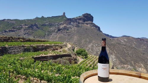El vino Agala 1212 obtiene una Gran Medalla de Oro en Agrocanarias 2020
