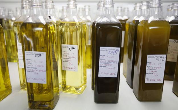 Un aceite valenciano por primera vez entre los diez mejores del mundo