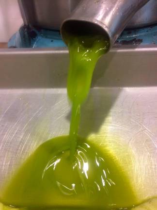 COAG exige un nuevo almacenamiento privado del aceite